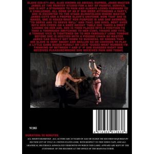 Painful Service & Masochism