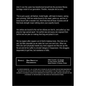 Insex - Hogtie from Hell