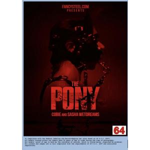 Fancy Steel - The Pony