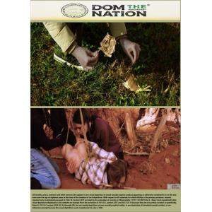 Dom The Nation - SWEAT, TEARS, AND A GOLDEN SUNSET