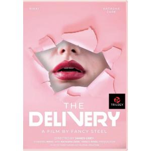 Fancy Steel - The Delivery