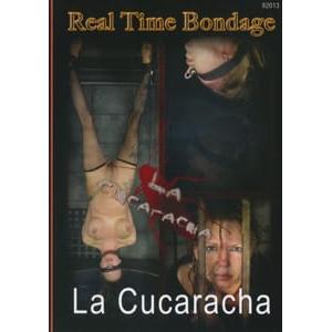 Real Time Bondage - La Cucaracha Part 1 , 2 3